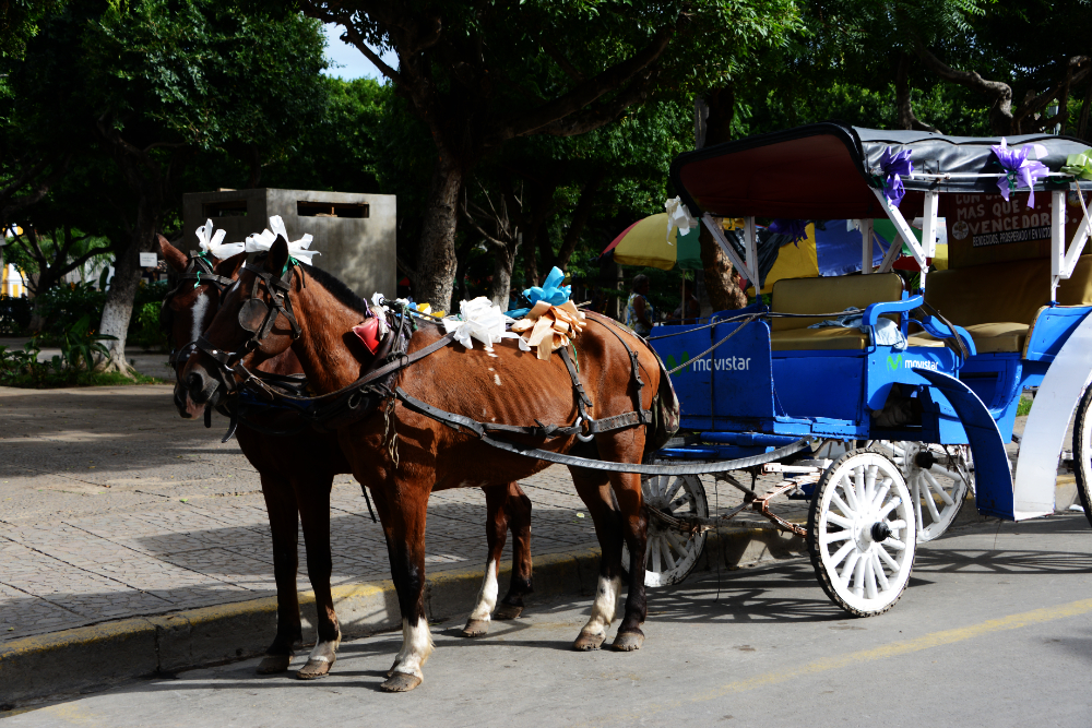 Horse-drawn carriage on a street in historic Granada Nicaragua
