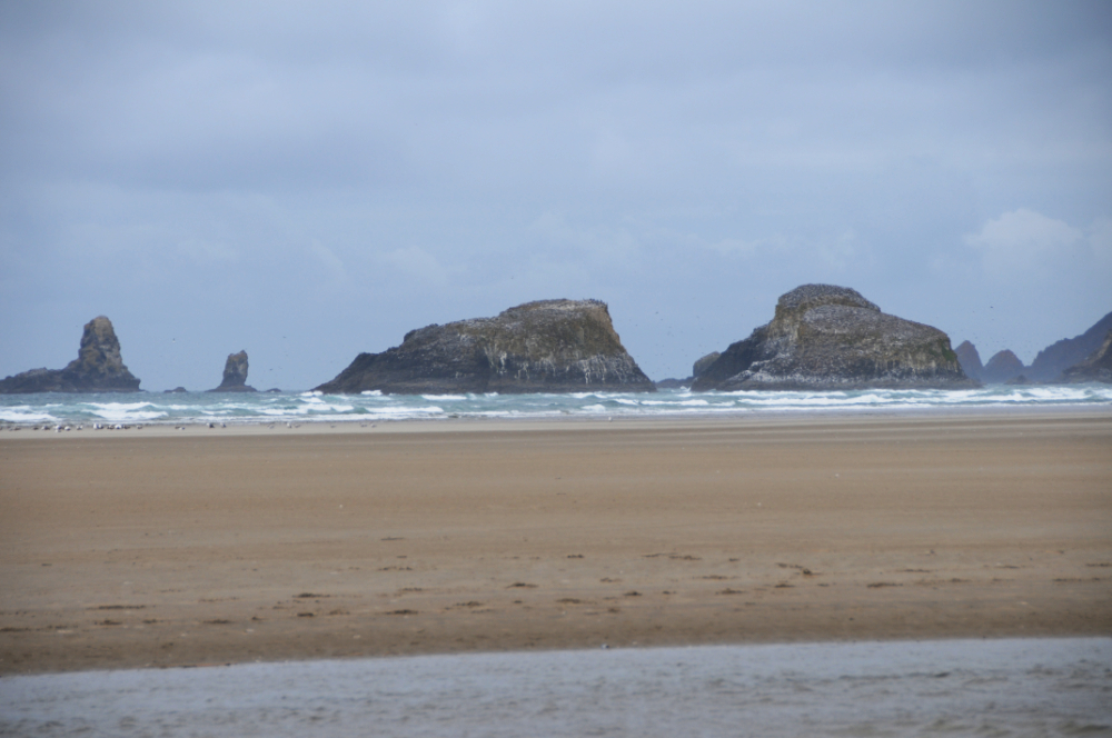 Rock formations along Cannon Beach Oregon