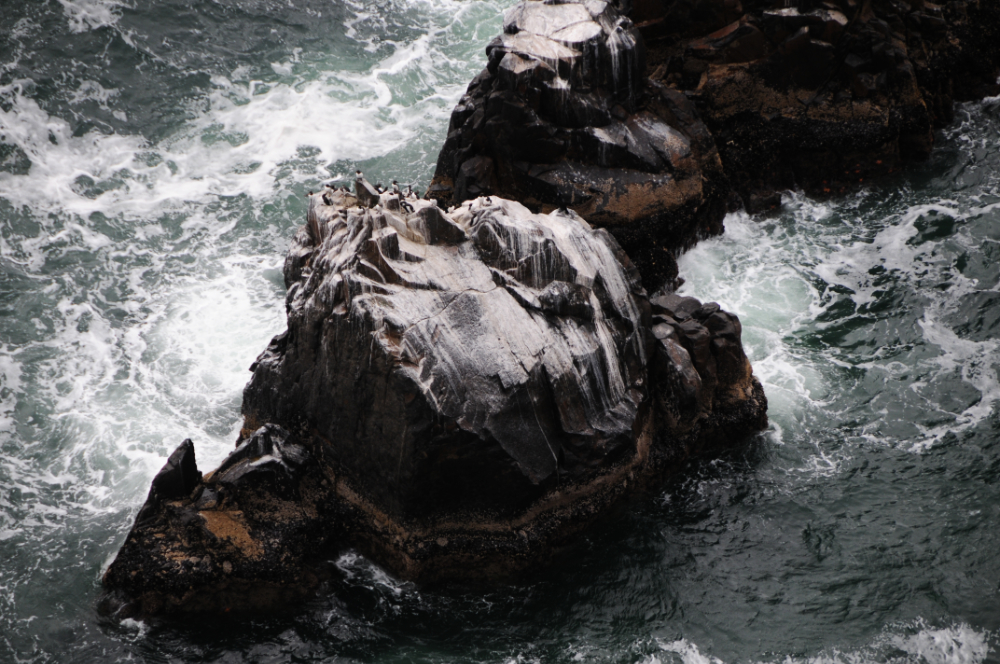 Rocky islands off the Oregon coast