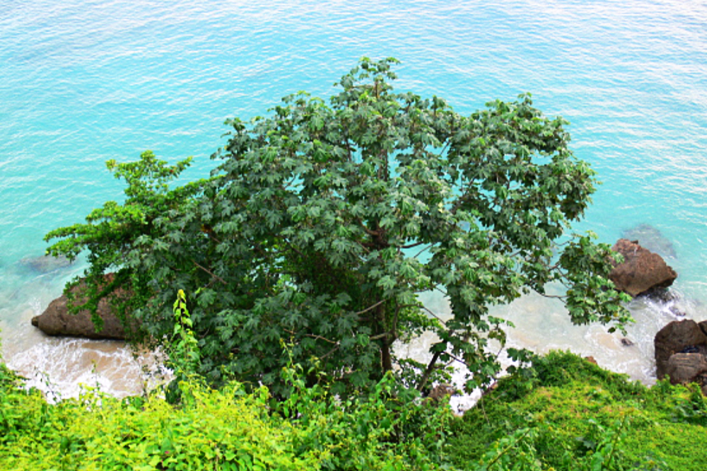Rocky shoreline near Aguadilla, Puerto Rico