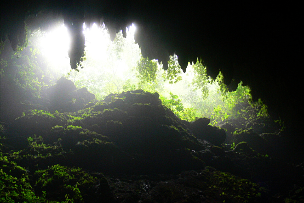 Entrance to the Río Camuy cave system in Puerto Rico