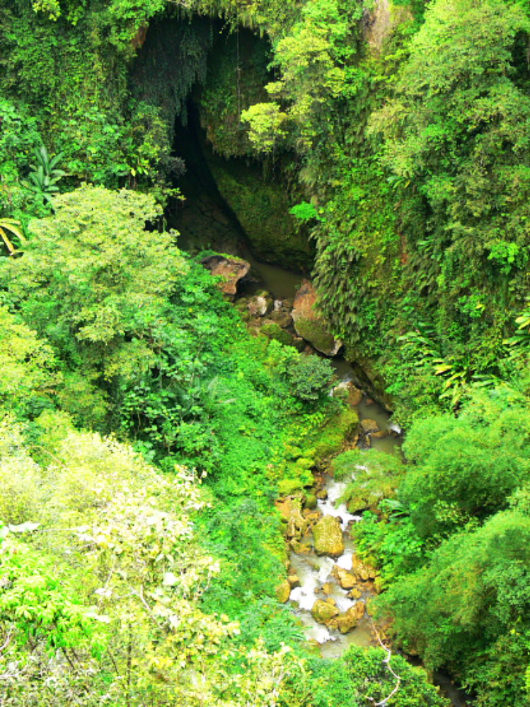 Large sinkhole surrounded by vegetation at Río Camuy
