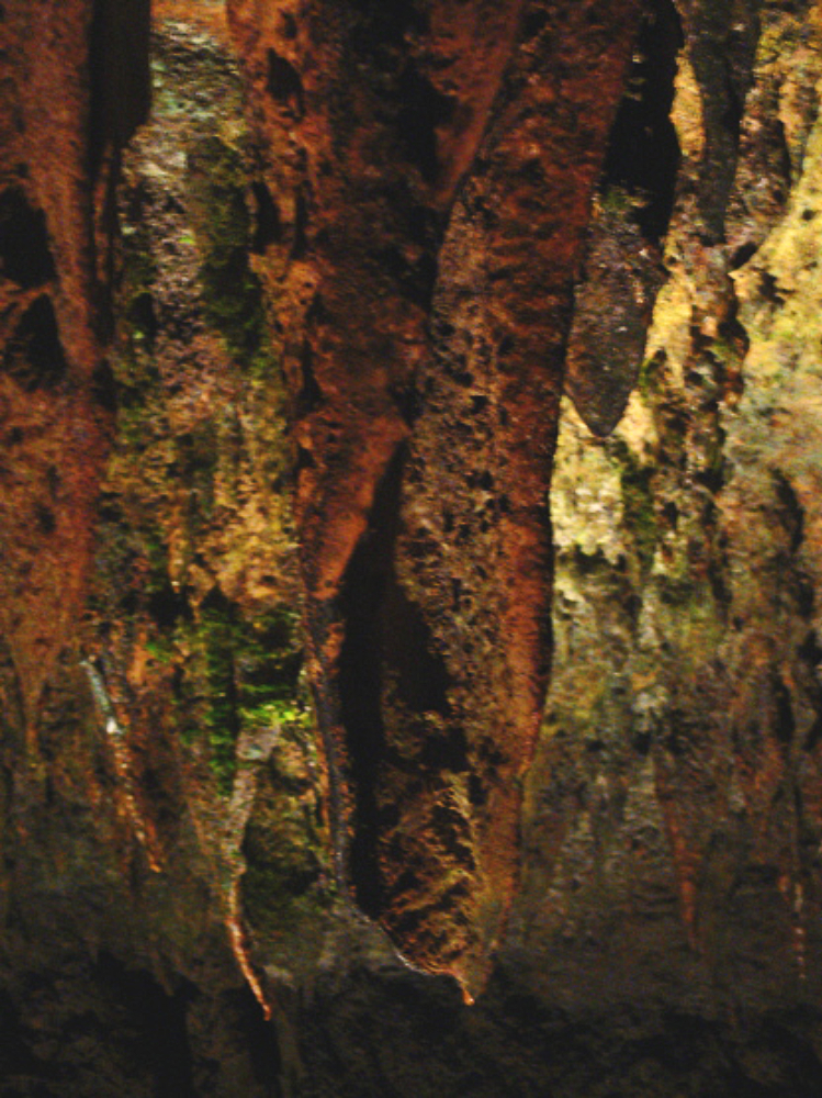 Stalactite formations inside the Río Camuy cave system