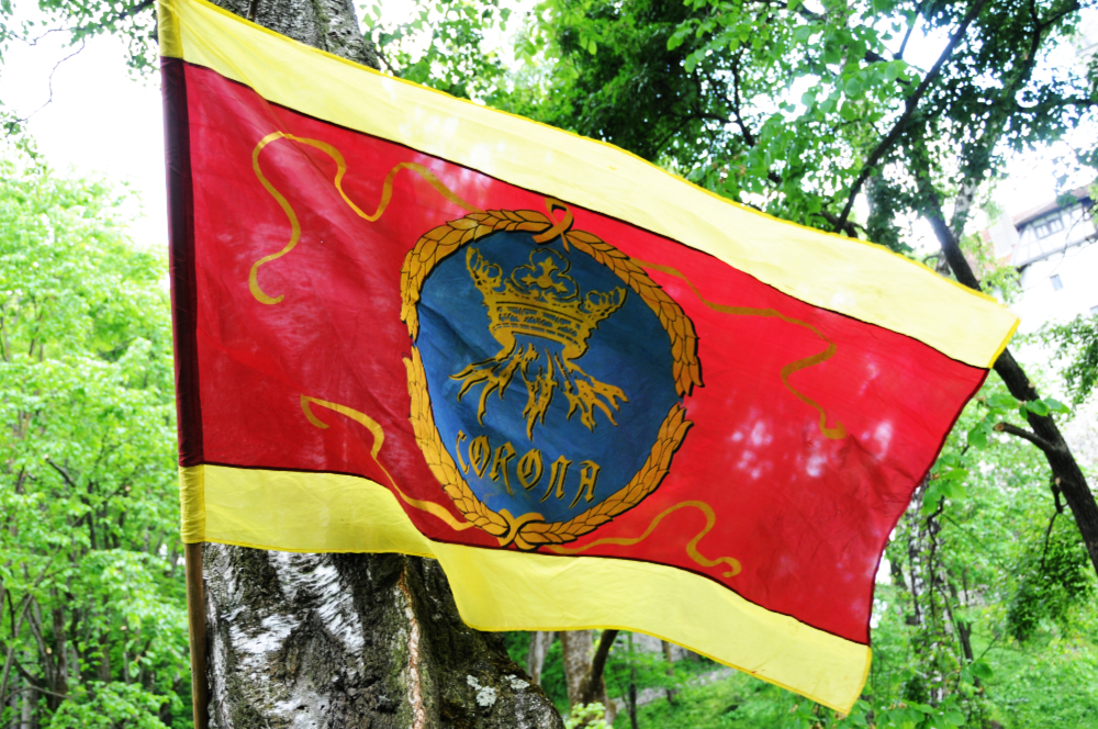 Castle Flag Romania Bran Castle Flag
