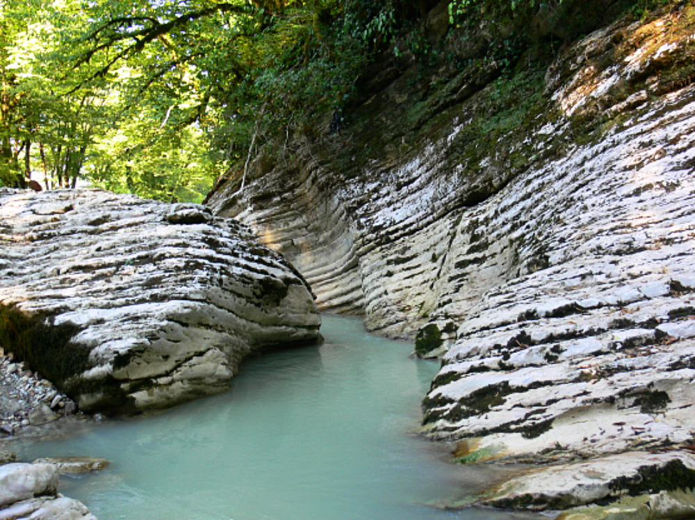 River flowing through the forest near Sochi Russia
