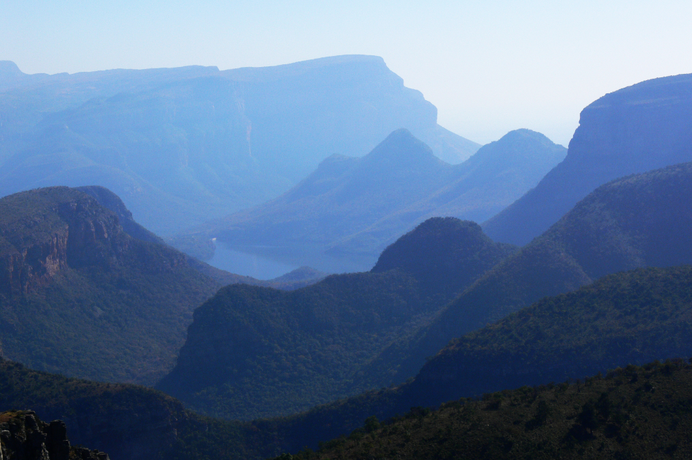 Morning dew near Blyde River Canyon South Africa