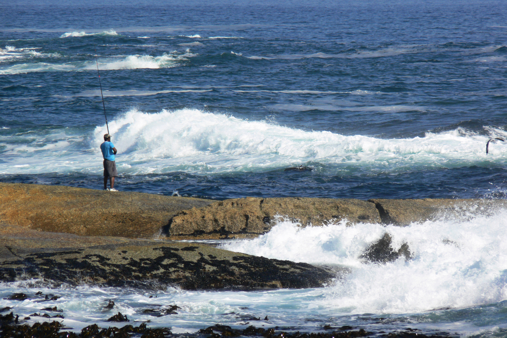 Fishing in Cape Town Fishing along the coast of Cape Town South Africa