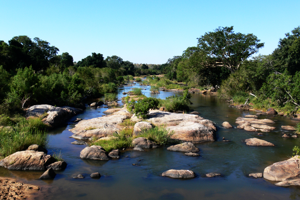 Landscape and creek in Kruger National Park South Africa