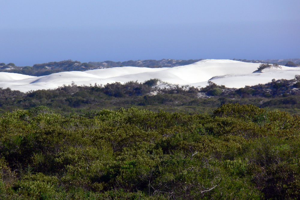 West Coast National Park Dunes Sand dunes in West Coast National Park South Africa