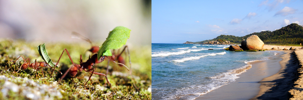 Tayrona National Park, Colombia