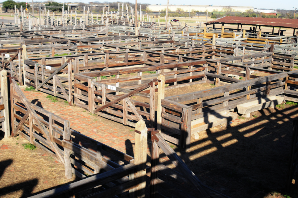Stockyards Ranch Ranch and livestock area at the Fort Worth Stockyards