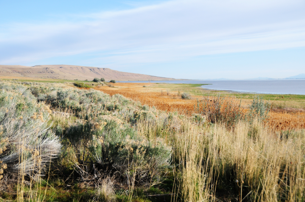 Antelope Island Landscape Landscape of Antelope Island Utah
