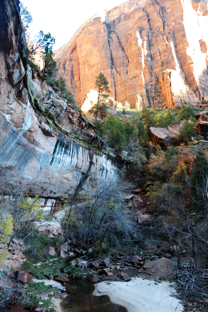 Emerald Pools Emerald Pools canyon rim Zion National Park