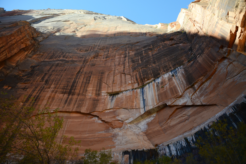 Emerald Pools Cliffs Cliffs above Emerald Pools Zion National Park