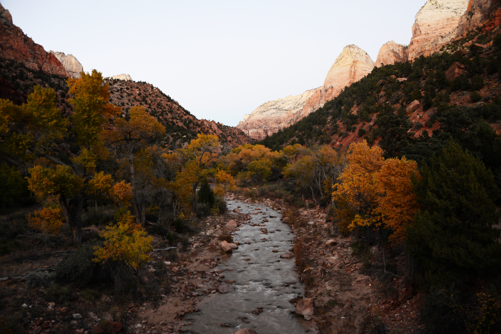 Virgin River Virgin River in Zion National Park
