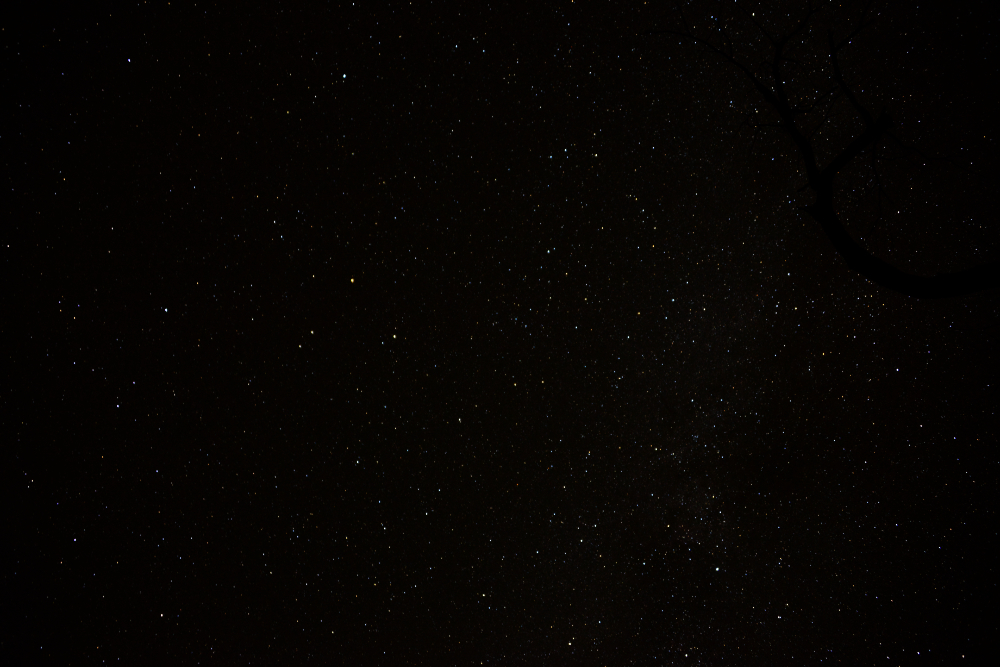 Starry Night Stars over Zion National Park