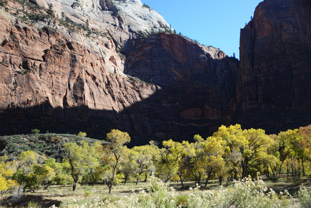 West Rim Trail Utah Zion National Park West Rim Trail Beginning