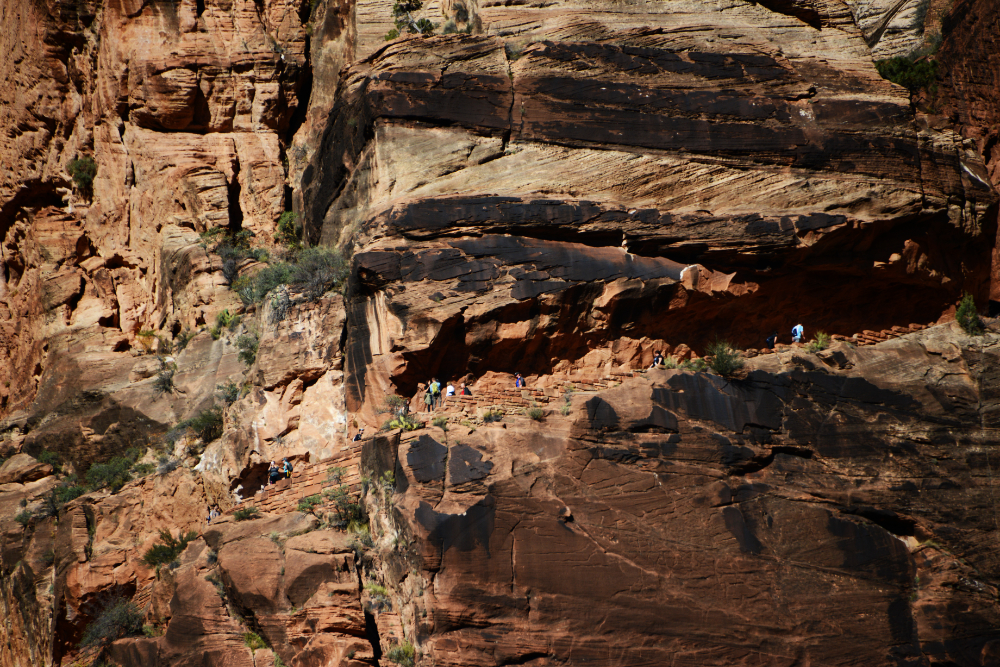 West Rim Trail Hikers Hikers on the West Rim Trail Zion National Park